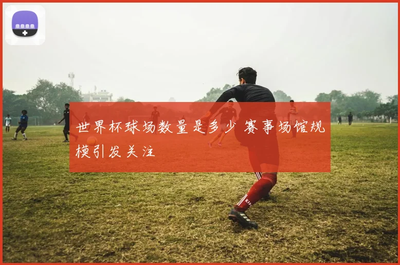 世界杯球场数量是多少 赛事场馆规模引发关注