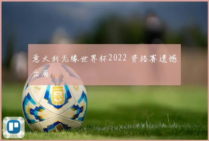 意大利无缘世界杯2022 资格赛遗憾出局